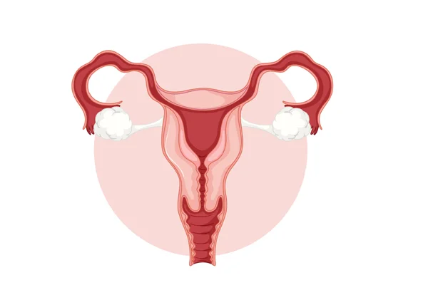 Gestational Trophoblastic Neoplasia